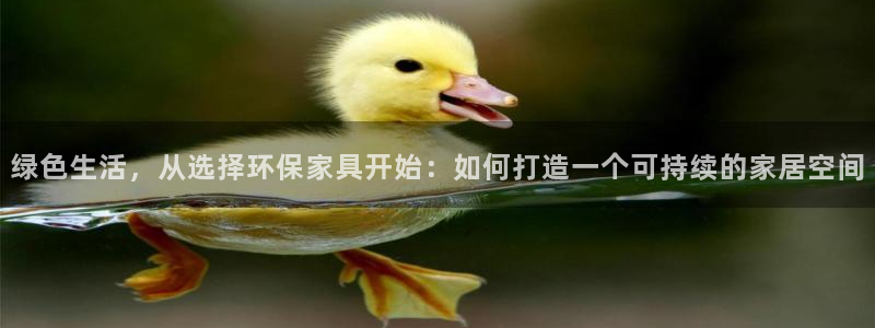 杏宇登陆网站