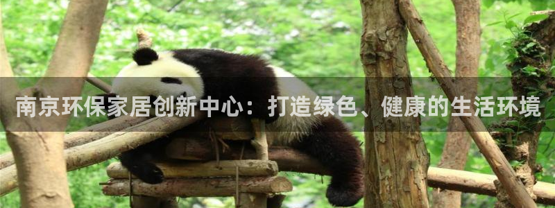 杏宇平台怎么样