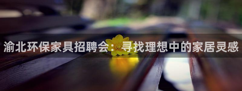 杏宇平台登录网址是什么：渝北环保家具招聘会：寻找理想中的家居