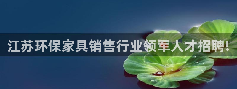 杏宇软件
