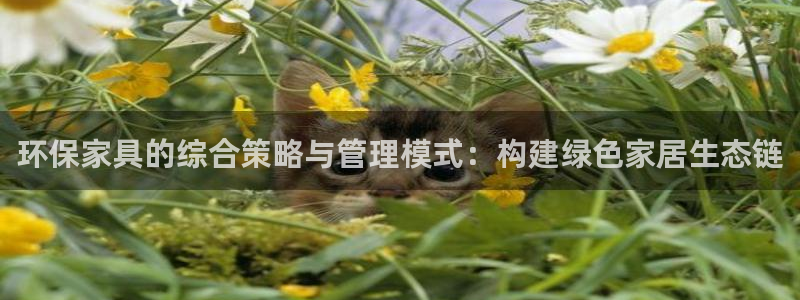 杏宇注册app：环保家具的综合策略与管理模式：构建绿色家居生