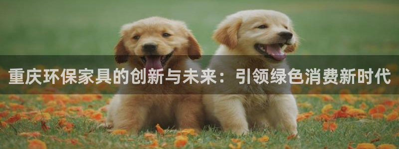 杏宇平台登陆测速：重庆环保家具的创新与未来：引领绿色消费新时