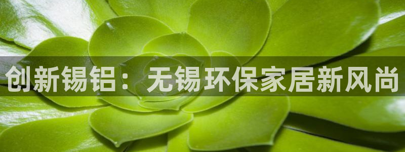杏宇平台指定：创新锡铝：无锡环保家居新风尚