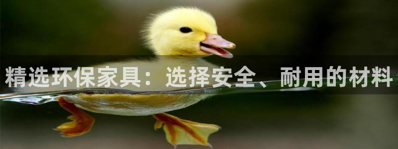 杏宇软件：精选环保家具：选择安全、耐用的材料
