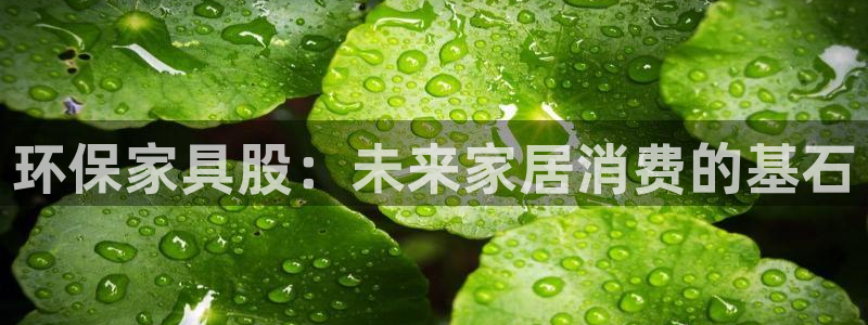杏宇登陆线路：环保家具股：未来家居消费的基石