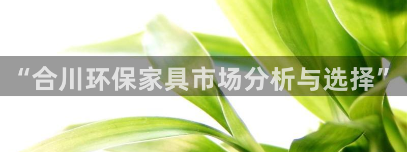 杏宇平台待遇：“合川环保家具市场分析与选择”