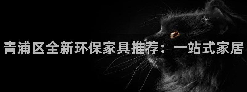 杏宇平台靠谱吗：青浦区全新环保家具推荐：一站式家居