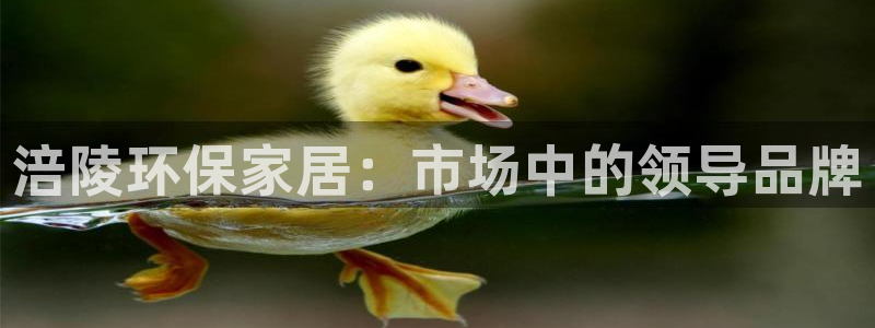 杏宇平台待遇：涪陵环保家居：市场中的领导品牌