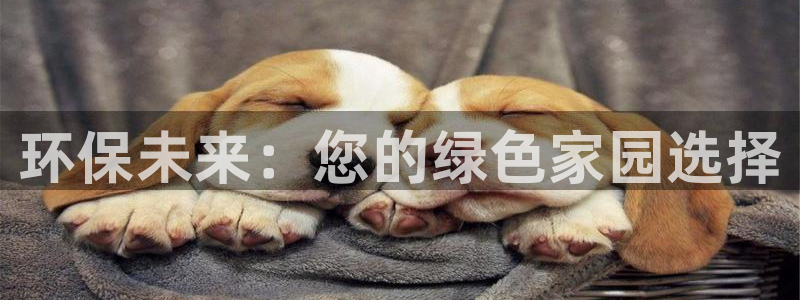 杏宇登陆：环保未来：您的绿色家园选择